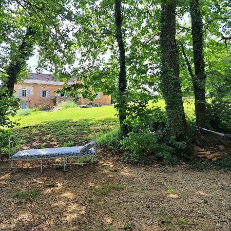 Charmant Studio Dans Maison D'Hote Dans Un Ecrin De Verdure Saint-Martin-le-Redon Εξωτερικό φωτογραφία