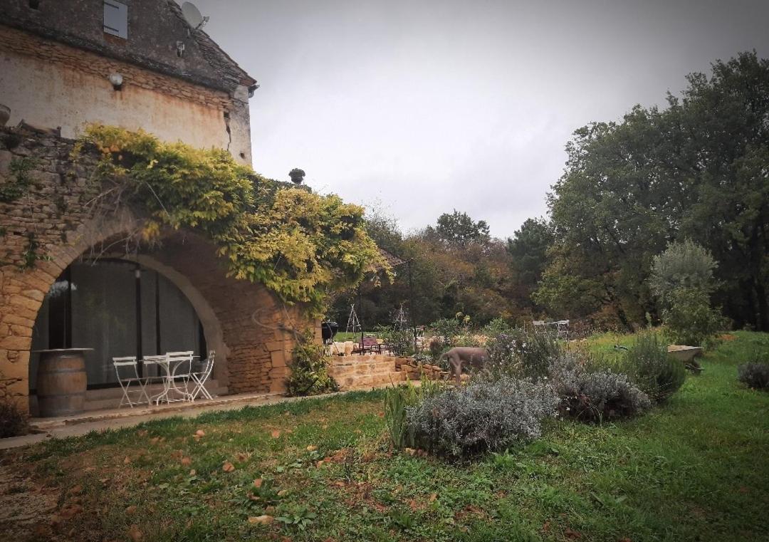 Charmant Studio Dans Maison D'Hote Dans Un Ecrin De Verdure Saint-Martin-le-Redon Εξωτερικό φωτογραφία