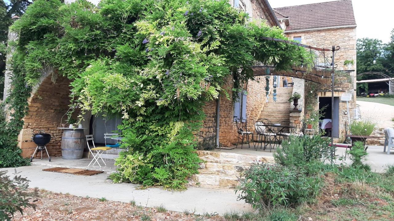 Charmant Studio Dans Maison D'Hote Dans Un Ecrin De Verdure Saint-Martin-le-Redon Εξωτερικό φωτογραφία